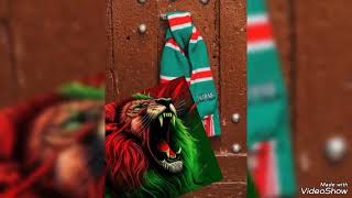 نادي مولودية العاصمة 💚 الأصالة و شغف الفوز la Mouloudia club d'Alger 🇩🇿 la fierté des Algérois