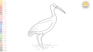 Crane bird drawing easy way | How to draw A Crane step by step | Birds drawing tutorials | art janag