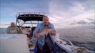 Fishing inshore reefs Sunshine Coast Wayne and Joe May 2016