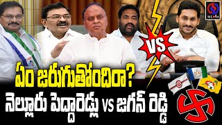 Nellore Peddareddlu vs Jagan Reddy | AP Politics 2024 | Jagan | SS Media