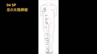 歌で覚えるツボ！！04 SP足の太陰脾経