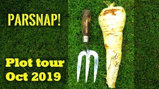Allotment Year 2 - October 25th 2019 Tour