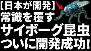 【衝撃】理化学研究所が開発した「サイボーグ昆虫」に世界が震えた！