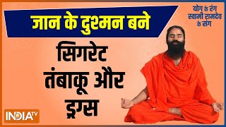 Yoga LIVE: जान के दुश्मन बने सिगरेट..तंबाकू..ड्रग्स,Swami Ramdev का अभियान मिलकर तोड़ेंगे नशे का जाल