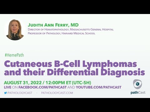 #DERMPATH Cutaneous B-Cell Lymphomas And Their Differential Diagnosis ...