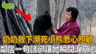 老人救下瀕死小熊悉心照顧，把黑熊當兒子養十分溫馨，鄰居一句話卻讓她瞬間淚崩...|自然觀察員