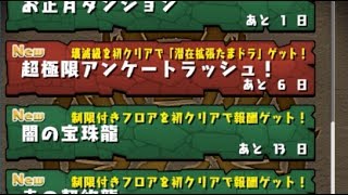 【パズドラ】【実況】超極限アンケートラッシュ