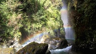 徳島県　日本の滝百選　轟の滝　1/5　轟本滝と轟神社　[HD]