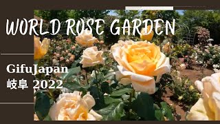 [4K] World rose garden Gifu-Japan ワールドローズガーデン岐阜