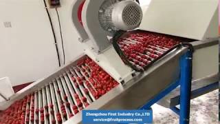 cherry tomato washing drying grading line, tomato processing line