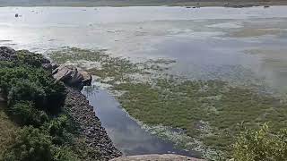 Villupuram panamalai Sivan kovil and Lake