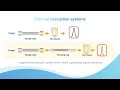 what is thermal desorption how does it work