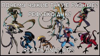 ПОЧЕМУ ТЕОРИЯ РЕФЛЕКСА ДНК - ХРЕНЬ?