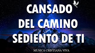 Mezcla De Alabanzas De Adoracion Mix - MÚSICA CRISTIANA 2024 TRAE BENDICIONES A TU HOGAR - Sumergeme