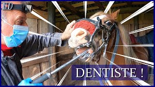 OPÉRATION DENTISTE ! 😬 - Enfants terribles ou sages ?