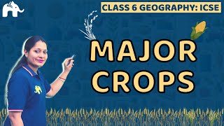 Major Crops Class 6 ICSE Geography | Selina Chapter 7 | SST Social Science