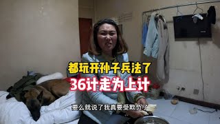 死猪不怕开水烫，36计走为上，古代智慧博大精深，多学着点吧【大莲萌爱旅行】