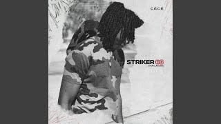 Striker #3