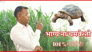 जिस व्यक्ति को यह कछुआ 🐢 मिल गया तो समझें भाग्य चमक गया जीवन खुशहाल हो जाए धन पैसा की कोई कमी नहीं