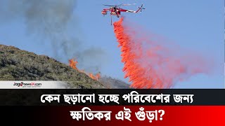 লস অ্যাঞ্জেলেসজুড়ে ছড়ানো গোলাপি গুঁড়ার কাজ কী | LA Wildfire | California | US Fire | Jago News