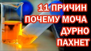 Запах мочи как сигнал болезни: 11 причин, что вы пахнете аммиаком или еще хуже #здоровье