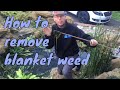 How to remove blanket weed out of a garden pond.