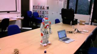 Nao: Face recognition and movement tracking