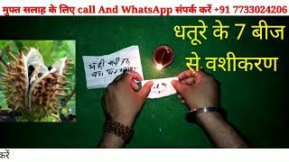 Dhature se vashikaran upay | काले धतुरे के 7 बीज से करे किसी का भी वशीकरण | +91-7733024206