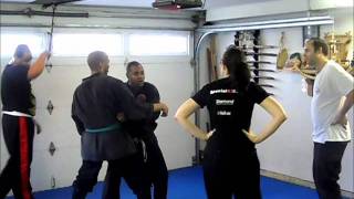 Bujinkan Butoku Dojo training # 116