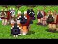 9 New Minecraft Wolves