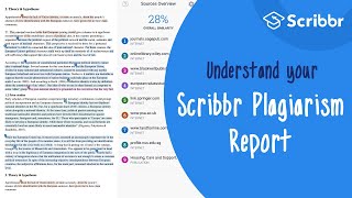 The Scribbr Plagiarism Report Explained | Scribbr 🎓