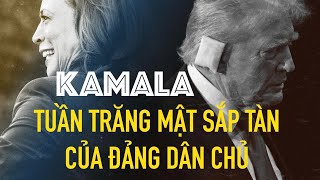 KAMALA CÓ KHẢ NĂNG THẮNG  TRUMP NHƯ PHE DÂN CHỦ ĐANG HY VỌNG?  LS  TRẦN THÁI VĂN NHẬN ĐỊNH SÂU