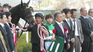 H28.03.05　優勝馬「シンハライト」　チューリップ賞　阪神１１Ｒ