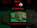 warning frog vs scorpion deadly creatures on earth killing there prey