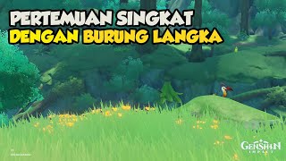 Quest Dunia Pertemuan Singkat Dengan Burung Langka【Genshin Impact】