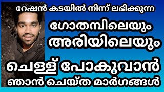 ചെള്ള് പോകുവാൻ ഉള്ള മാർഗങ്ങൾ 👍// Ways to get rid of fleas #Flea #waystogofleas #ചെള്ള്