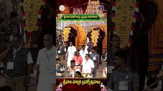 శ్రీవారి సేవలో అశ్వ,వృషభ,గజరాజులు | శ్రీవారి వార్షిక బ్రహ్మోత్సవాలు 2024 | తిరుమల | SVBC TTD