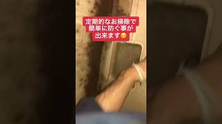 【閲覧注意】お風呂の排水口掃除しないとこうなります　#shorts