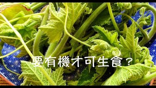 周兆祥：要有機才可生食？  ----- 祥哥講食生 79