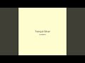 Tranquil Silver