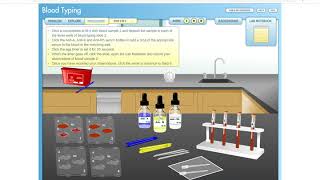 Virtual Blood Typing Lab