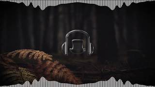 TULE - Fearless pt.II (feat. Chris Linton)(Bass Boosted)[Hi-Fi]
