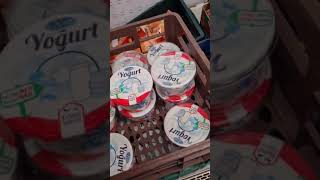 اللبن اليوناني Greek yoghurt في المتاجر التركية