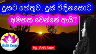 BE THE MASTER OF YOUR MIND - Part 111 | දුකට හේතුව, දුක් විඳිනකොට අමතක වෙන්නේ ඇයි ? 🙏🌷VISHWA DHYANA