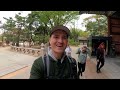 a day in seoul south korea complete tour of deoksugung and gyeongbokgung palaces