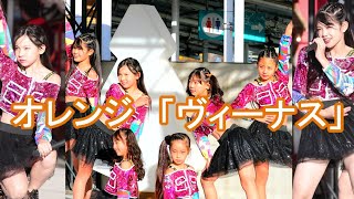 オレンジ「ヴィーナス」(Japanese Idol)