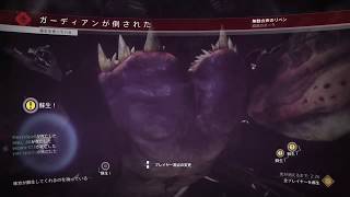 Destiny2 孤独と影 レイド 最後の望み リベン戦 ゴリ押し失敗