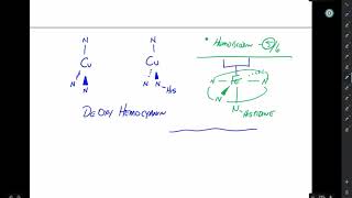 Hemocyanin