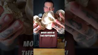 Grow your own Mushrooms at home! #shorts