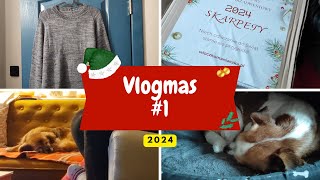 Vlogmas #1 Skarpetkowy kalendarz adwentowy 🎄 Hoya Man Sweater 🧶 Pieski 🐶